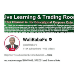 Wali baba forex course