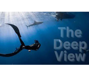 Learn SMC with Kushal Course – The Deep View (Not for Beginner)