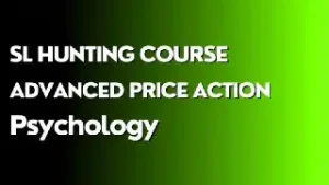 Trader In Action SL Hunting Course