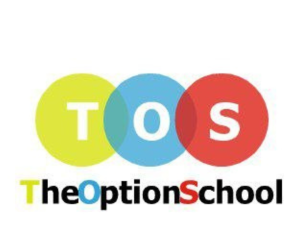 The Option School - Iron Condor Strategy Course